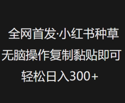 全网首发，小红书种草无脑操作，复制黏贴即可，轻松日入3张-学习笔记资源库