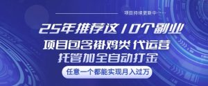 25年推荐这10个副业项目包含褂鸡类、代运营托管类、全自动打金类【揭秘】-学习笔记资源库