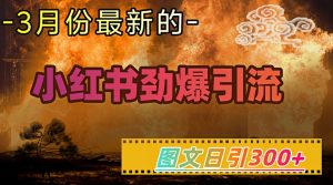 小红书超劲爆引流手段,图文日引300+轻松变现1W-学习笔记资源库