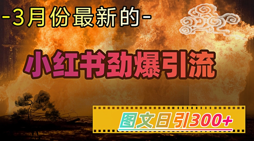 小红书超劲爆引流手段，图文日引300+轻松变现1W-学习笔记资源库