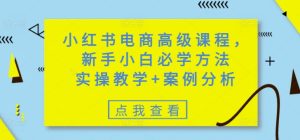 小红书电商高级课程,新手小白必学方法,实操教学+案例分析-学习笔记资源库