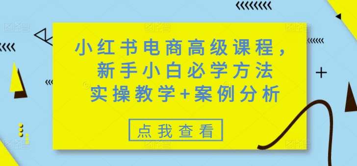 小红书电商高级课程，新手小白必学方法，实操教学+案例分析-学习笔记资源库