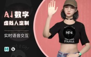 Ai数字人虚拟(智能体)实时语音交互特训营,自行定制超写实角色AI数字人交互技术-学习笔记资源库