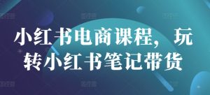 小红书电商课程,玩转小红书笔记带货-学习笔记资源库