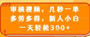 审核视频,几秒一单,多劳多得,新人小白一天轻松3张【揭秘】-学习笔记资源库