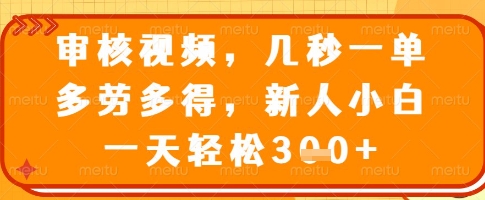 审核视频，几秒一单，多劳多得，新人小白一天轻松3张【揭秘】-学习笔记资源库