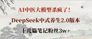 AI中医大模型杀疯了!DeepSeek中式养生2.0版本,十几篇笔记粉丝3w+-学习笔记资源库
