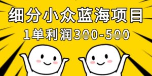 细分小众蓝海项目,一单利润3张,每月收入稳定过1w+-学习笔记资源库
