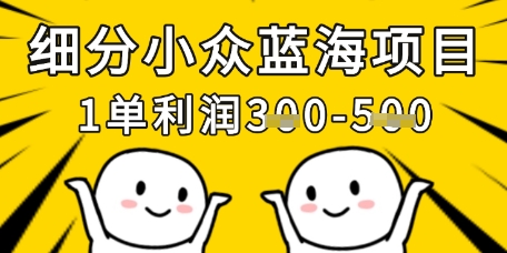 细分小众蓝海项目，一单利润3张，每月收入稳定过1w+-学习笔记资源库