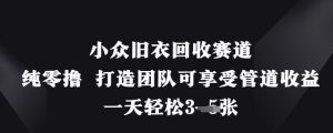 小众旧衣回收赛道,纯零撸 打造团队可享受管道收益,一天轻松3张-学习笔记资源库
