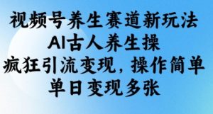 视频号养生赛道新玩法,AI古人养生操,疯狂引流变现,操作简单,单日变现多张-学习笔记资源库