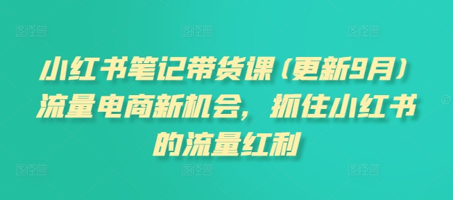 小红书笔记带货课(更新25年3月)流量电商新机会，抓住小红书的流量红利-学习笔记资源库