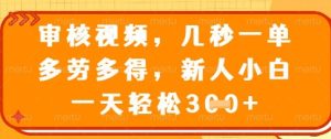 最新审核视频,几秒一单,多劳多得,新人小白一天轻松3张【揭秘】-学习笔记资源库