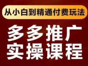 拼多多推广实操课程,从小白到精通付费玩法-学习笔记资源库