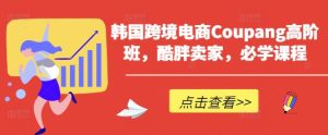 韩国跨境电商Coupang高阶班,酷胖卖家,必学课程-学习笔记资源库