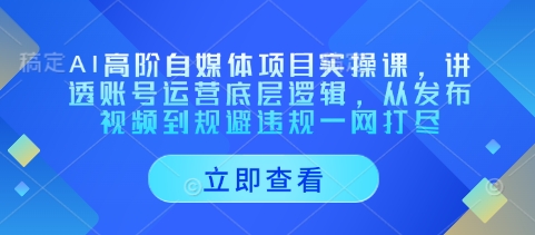AI高阶自媒体项目实操课，讲透账号运营底层逻辑，从发布视频到规避违规一网打尽-学习笔记资源库