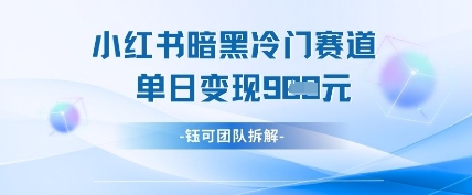 小红书冷门”暗黑”赛道，单日收益多张-学习笔记资源库