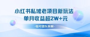 小红书私域项目新玩法,单月变现过W+-学习笔记资源库