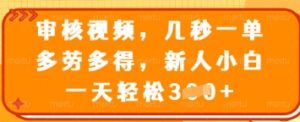 审核视频,几秒一单,多劳多得,新人小白一天轻松3张【揭秘】-学习笔记资源库
