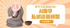 AI国学私域运营模型,单号月变现过W-学习笔记资源库