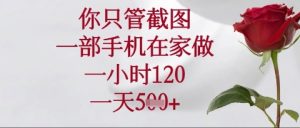 你只管截图,一部手机在家操作,一小时120.一天5张【揭秘】-学习笔记资源库