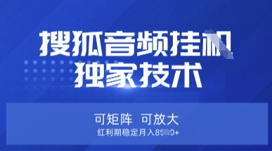 【搜狐音频挂G】独家技术，可矩阵可放大，红利期稳定月入8k【揭秘】-学习笔记资源库
