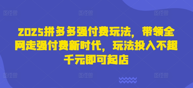 2025拼多多强付费玩法，带领全网走强付费新时代，玩法投入不超千元即可起店-学习笔记资源库