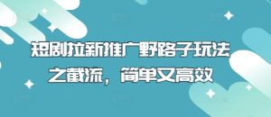 短剧拉新推广野路子玩法之截流,简单又高效-学习笔记资源库