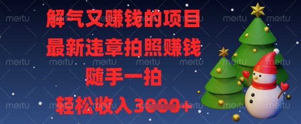 解气又挣钱的项目，最新违章拍照挣钱，随手一拍，轻松收入数张【揭秘】-学习笔记资源库