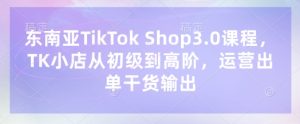 东南亚TikTok Shop3.0课程,TK小店从初级到高阶,运营出单干货输出-学习笔记资源库