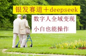 银发赛道+deepseek数字人全域变现,小白也能操作-学习笔记资源库