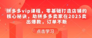 拼多多vip课程，零基础打造店铺的核心秘诀，助拼多多卖家在2025卖出爆款，订单不断-学习笔记资源库