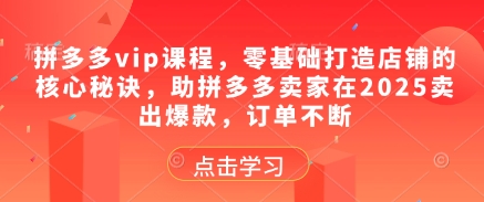 拼多多vip课程，零基础打造店铺的核心秘诀，助拼多多卖家在2025卖出爆款，订单不断-学习笔记资源库