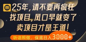 什么?25年你还在疯狂找项目做,醒醒吧,看完这些你全都懂了【揭秘】-学习笔记资源库