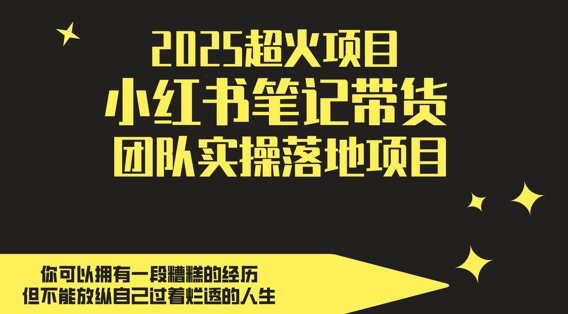 2025超火项目，副业最佳选择，小红书笔记带货团队实操落地项目，，轻松日入5张-学习笔记资源库