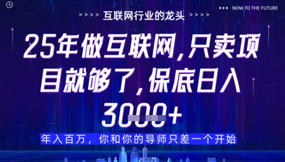 什么！25年你还在找项目做？风口早就变了，卖项目才是稳挣不赔【揭秘】-学习笔记资源库
