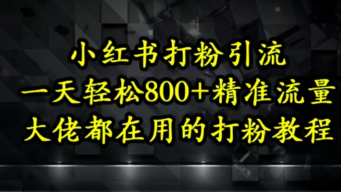 小红书打粉引流，一天轻松500+精准流量，大佬都在用的打粉教程-学习笔记资源库