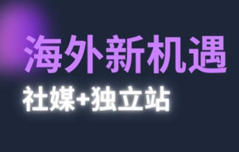 2025出海新机遇(社媒+独立站)，海外新机遇，实现独立站的高效运营与出海-学习笔记资源库
