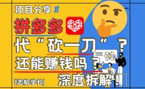 【2025最新】拼多多代坎助力项目深度拆解:还能挣钱吗?全流程玩法-学习笔记资源库