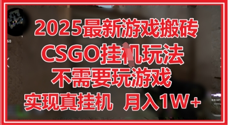 2025最新游戏搬砖，CSGO挂G，不需要玩游戏，实现真挂G，月入1W+【揭秘】-学习笔记资源库