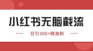 小红书只要你有同行就能获客,独家野路子获客玩法,暴力截流【揭秘】-学习笔记资源库