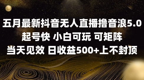 2025五月最新无人直播撸音浪单日产出5张+实操教程【揭秘】-学习笔记资源库
