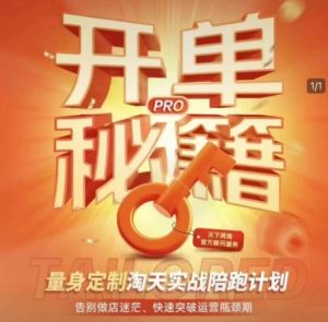 淘宝开单秘籍PRO,量身定制淘天实战陪跑计划,告别做店迷茫、快速突破运营瓶颈期(更新)-学习笔记资源库