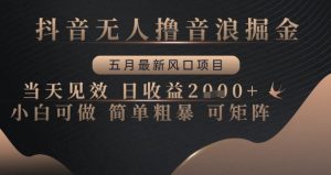 抖音无人撸音浪掘金,五月最新风口项目,当天见效,日收益多张,小白可做简单粗暴可矩阵【揭秘】-学习笔记资源库