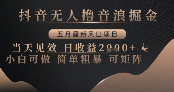 抖音无人撸音浪掘金，五月最新风口项目，当天见效，日收益多张，小白可做简单粗暴可矩阵【揭秘】-学习笔记资源库
