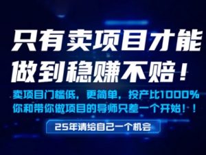 只有卖项目才能做到稳挣不赔,门槛低,更简单,你也可以年入百个W【揭秘】-学习笔记资源库