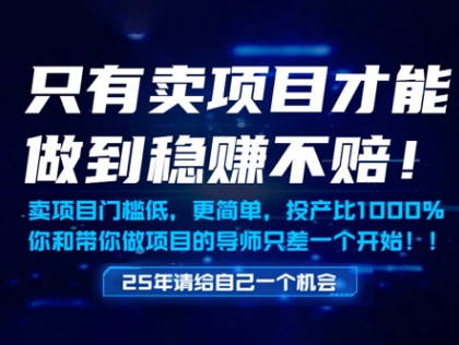 只有卖项目才能做到稳挣不赔，门槛低，更简单，你也可以年入百个W【揭秘】-学习笔记资源库