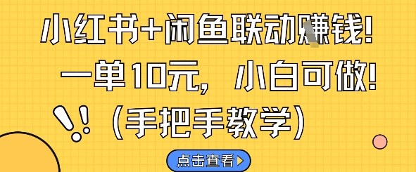 小红书+闲鱼联动挣钱，一单10元，小白可做-学习笔记资源库