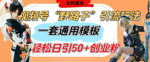 视频号“野路子”玩法，评论区疯狂截流，一套模板单日单号引流50+创业粉-学习笔记资源库