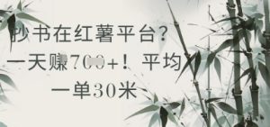 抄书在小红薯平台?平均一单30米,一天收益几张!-学习笔记资源库